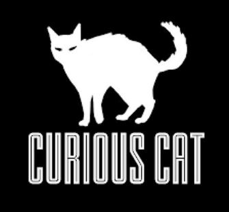 curious cat