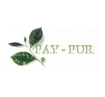 pay pur