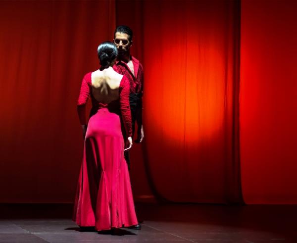 Danza "DONDE SOPLAN VIENTOS DE LIBERTAD"