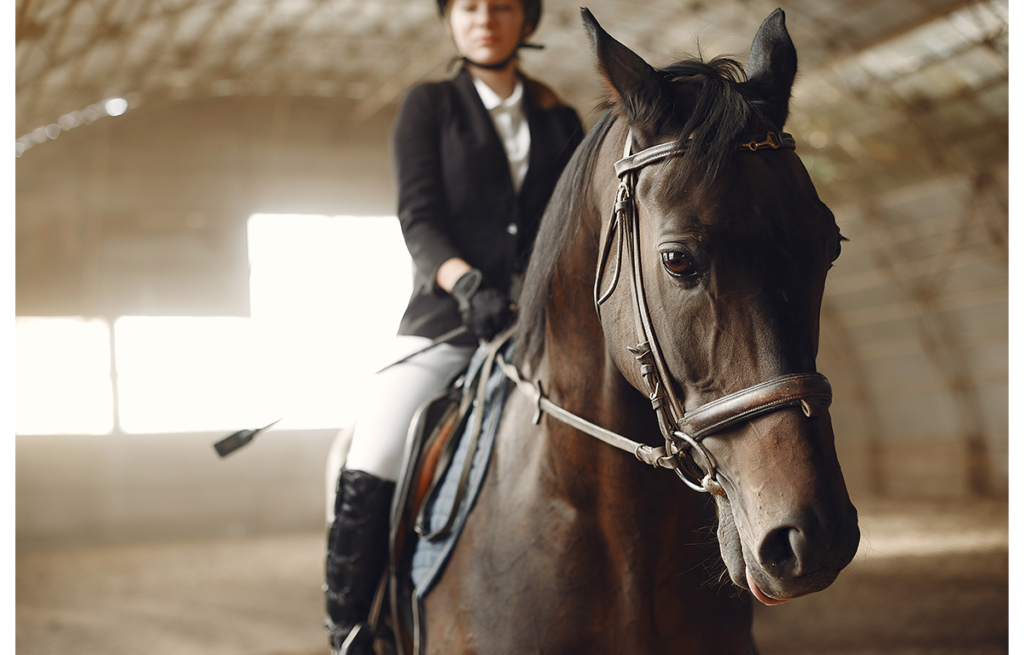 caballos jinete hipica montar club hipica leganes doma salto pupilaje