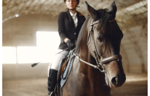 caballos jinete hipica montar club hipica leganes doma salto pupilaje