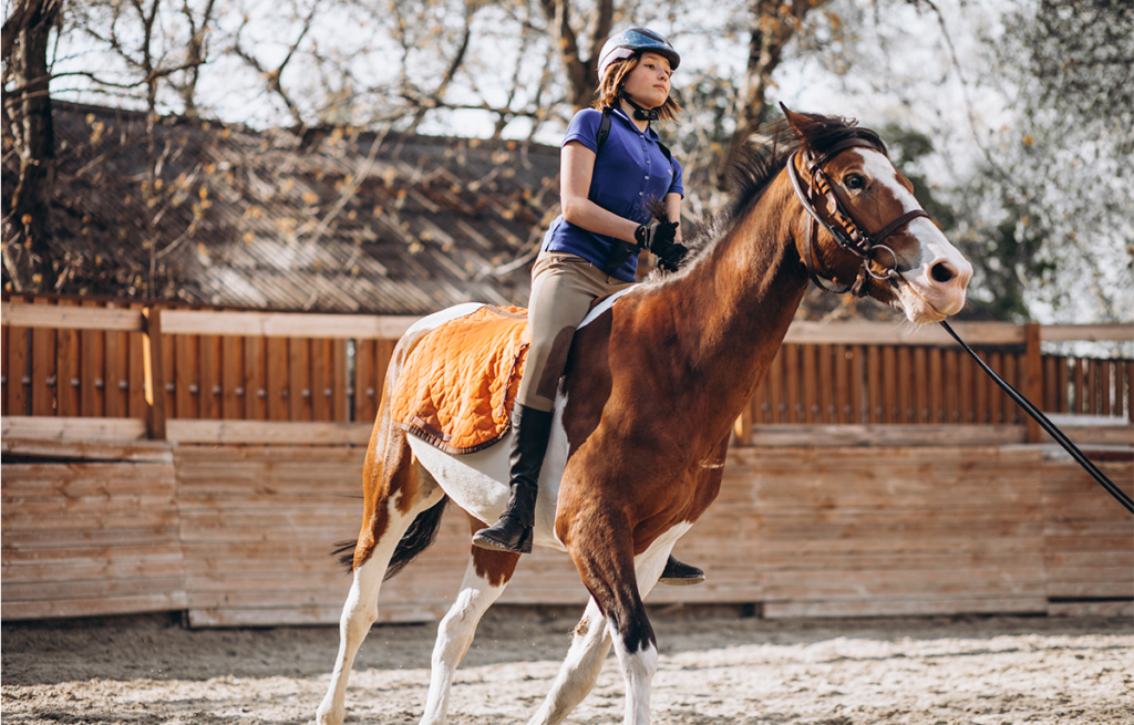 caballos jinete hipica montar escuela animales niños aprender hipica leganes doma salto pupilaje.png