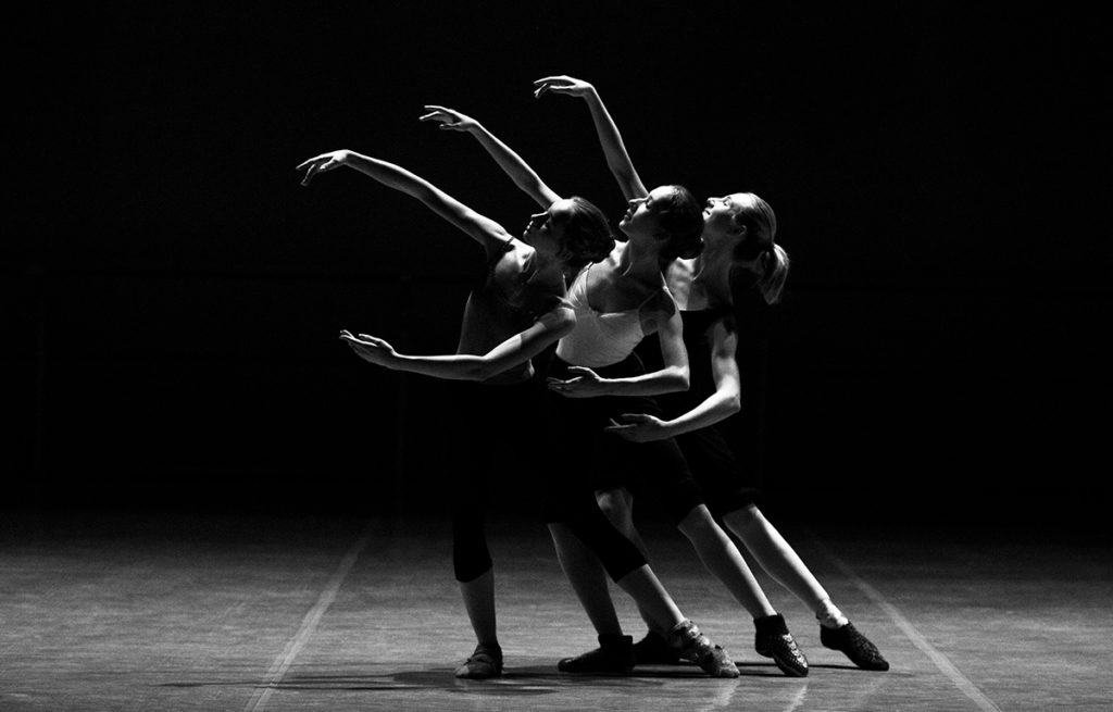 danza baile ballet bailarina bailarin flamenco latino urbana de salón moderna
