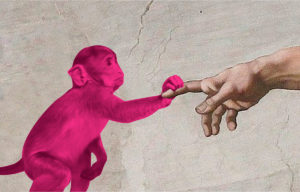 estudio-el-mono-rosa-arte-pintura-clases-cursos-caracterización-enmarcar-fotos