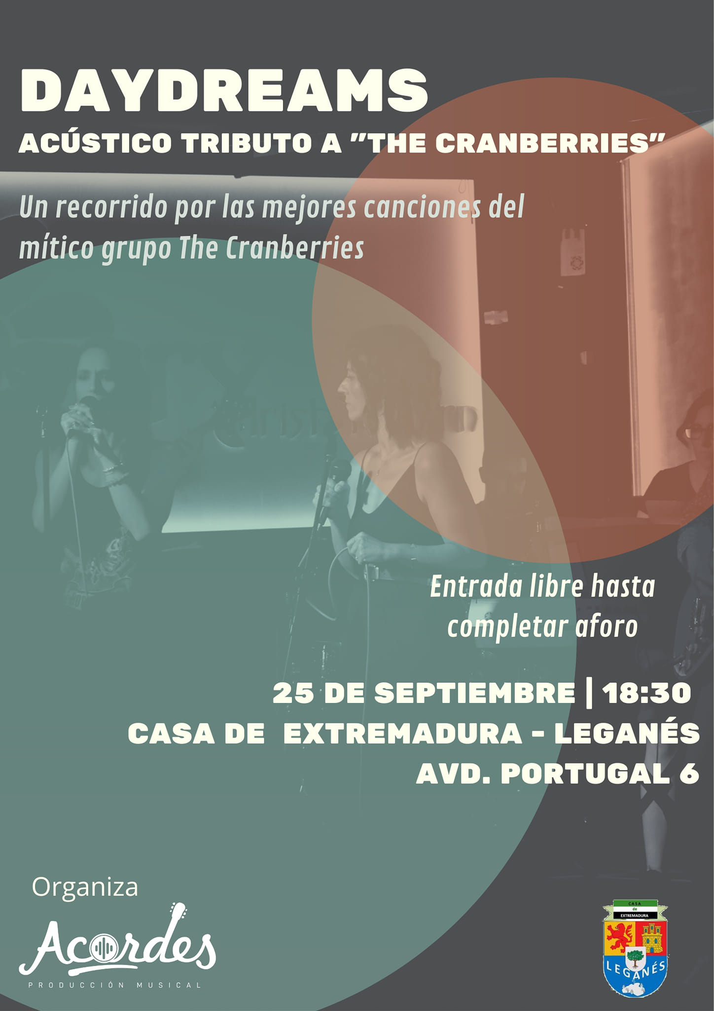 Tributo acústico a The Cranberries
